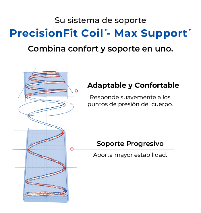 caracteristicas