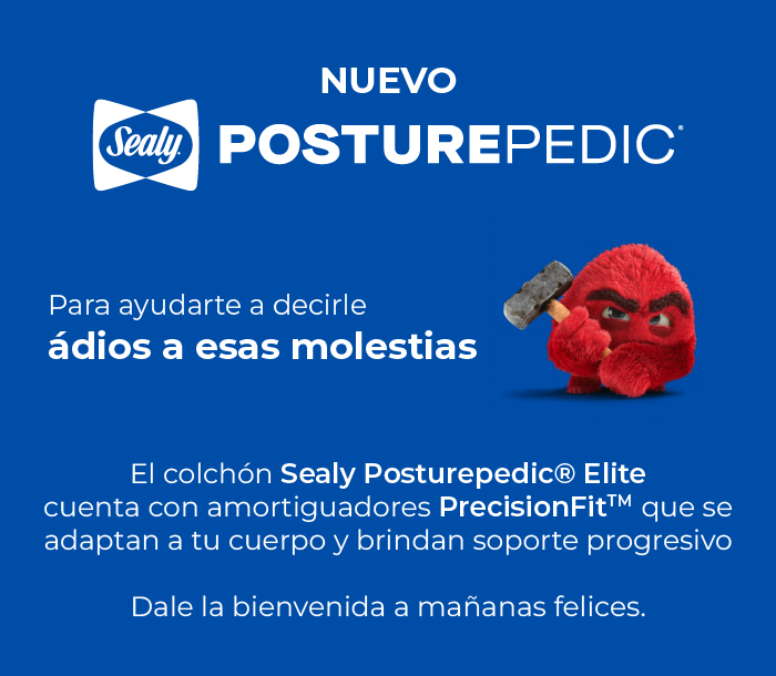 caracteristicas