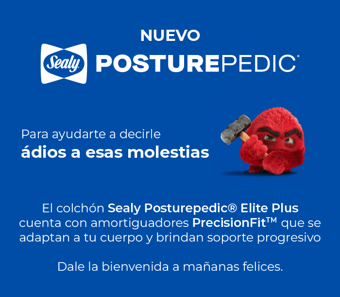 caracteristicas