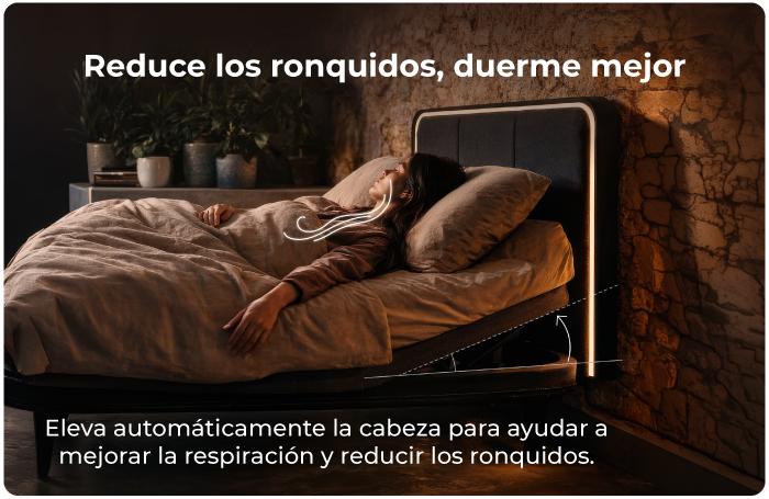 caracteristicas-cama-ajustable-smart