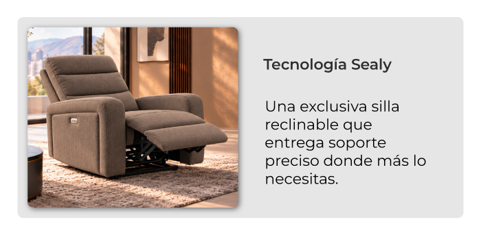 caracteristicas-silla